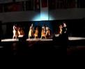 Towson University International Festival 07 ADC