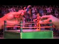 2412 Tv LUCHADORES