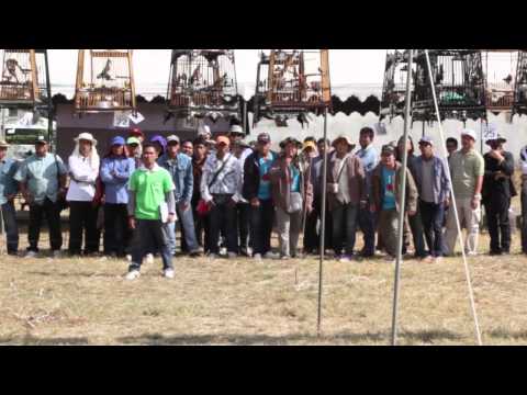 รายการเจาะสนามนก ออนทีวี ตอน งานไทยมาเล ครั้งที่ 11