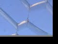 Regenerative Systems Regenerative Systems