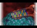 RNAi