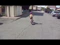 Click here to watch this video Pavlic pe bicicleta