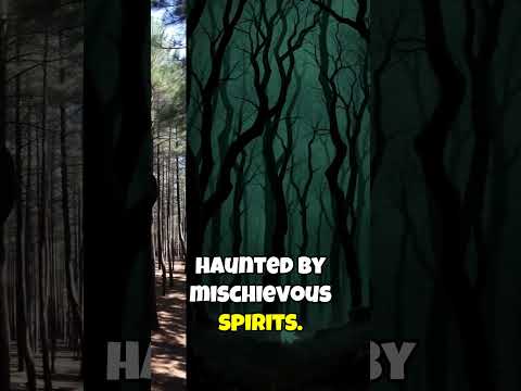 5 Creepiest Forests With Shocking Secrets Venture into some of the
