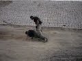 Iraqi Firearm Training