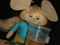 a vida boêmia de topo gigio