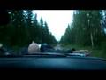 videos de Idiotpatrullen tvåå