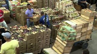 VÍDEO: Frutas respondem por 18,8% das vendas no Mercado Livre do Produtor da CeasaMinas