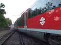 Train in Budapest -Desiro to Esztergom