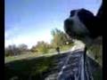 dudley's joy ride