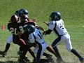 Cowboys Football Springfeild