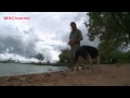 Man Comforts His Dying Dog  2012