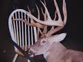 Dan Miller Buck