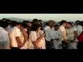Filipino brides and grooms plant mangroves before wedding