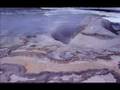 Assistir ao v�deo
