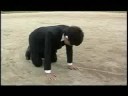 明日は明日の風が吹く　予告編　MONSTER ver.