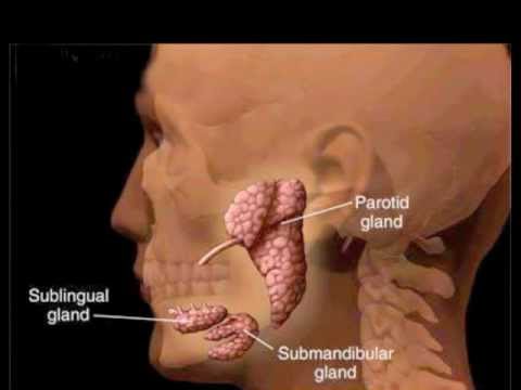 how to drain lymph node behind ear