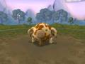 bum with arms and lags