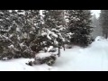 Lake Tahoe Winter Storm (Part 1) - YouTube