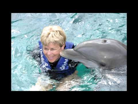 nages avec les dauphins YUCATAN-MEXIQUE
