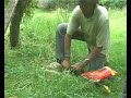 Conservation Hunting of Possums in NZ