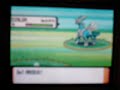 pokemon-diamond-pearl-giratina-the-legendary-.html