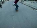 videos de gallo
