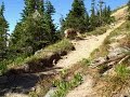 GNP Swift LO 071908
