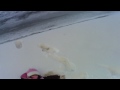 Andrea y la nieve 6. Andrea and the snow 6