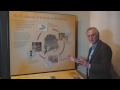 Richard Dawkins explains how fungus-farming ants from Central and South America make their living. Download Quicktime version (720p HD): cdn.cloudfiles.mosso.com Get the RDF TV podcast through iTunes! itunes.apple.com If you enjoy the video, and would like to help us make more videos like this, please consider donating $1 (or any other amount you'd like) to The Richard Dawkins Foundation for Reason and Science: richarddawkinsfoundation.org During Richard Dawkins' 2009 American tour, we ...
