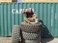squaddie stars