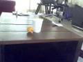 Magic ping pong ball