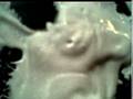 YouTube - Sonification
