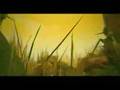 Myst Games Trailer
