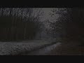 Sigur-R-s-N-Batter