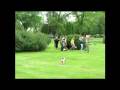 videos de Troop 214 Memorial Day 2007