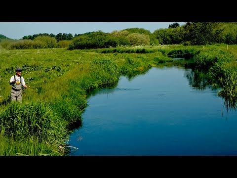 See video in full resolution
