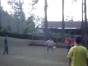 Alcides perde o gol