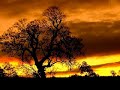 i've always had a special love for africa, or more specifically egypt. what better way to express such feeling, than by dedicating my very first video to the beauteous 'african sunset'...