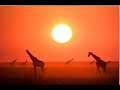 i've always had a special love for africa, or more specifically egypt. what better way to express such feeling, than by dedicating my very first video to the beauteous 'african sunset'...