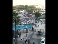 Dolphin fans at jaguars game