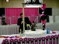 Turkish Angora at cat show