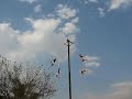 Mexico Travel: Special performance IV of the Voladores de Papantla