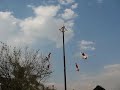 Special performance IV of the Voladores de Papantla