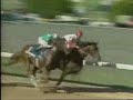 Spectacular Bid - 1979 Kentucky Derby