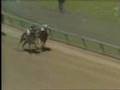 Spectacular Bid - 1979 Kentucky Derby