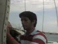 en el velero
