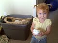 dd#2 diaper