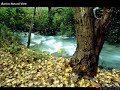 palestine the paradise