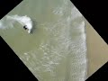 videos kitesurf