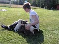 Westmead Lark Mountcashel Lass puppies 5 weeks old